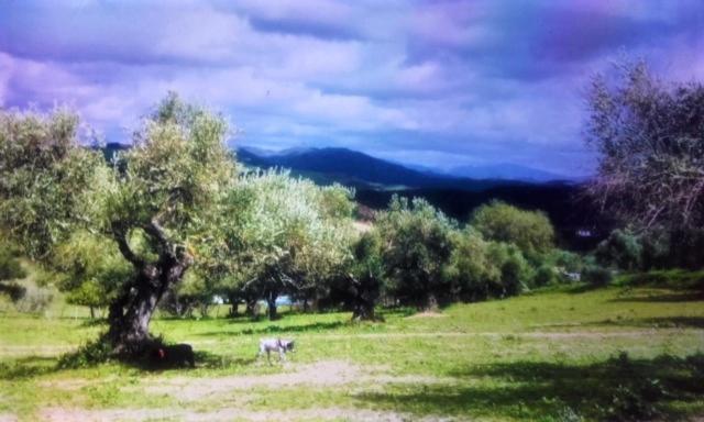 Rancho Cottage Cuernavaca Algar  Zewnętrze zdjęcie